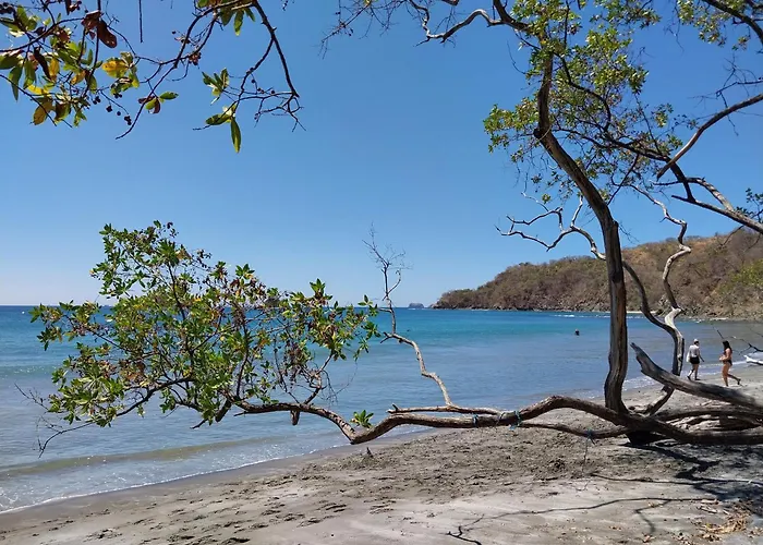 Alouatta En Catalinas - Beachfront For 6 People Playa Danta